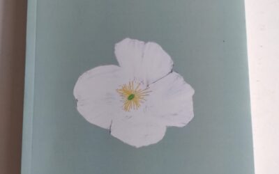 Reseña: Captren de Beatriz González Fulle